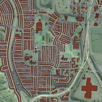 Close-up of the map of Daly City, California print showing street and building detail