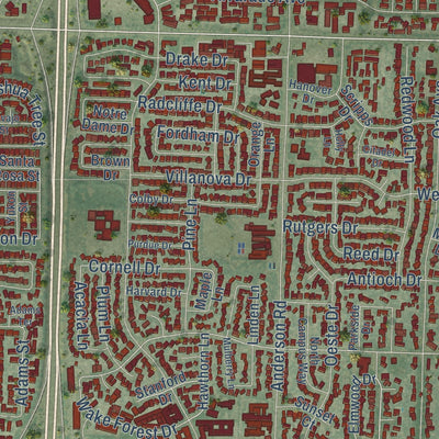 Close-up of the map of Davis, California print showing street and building detail