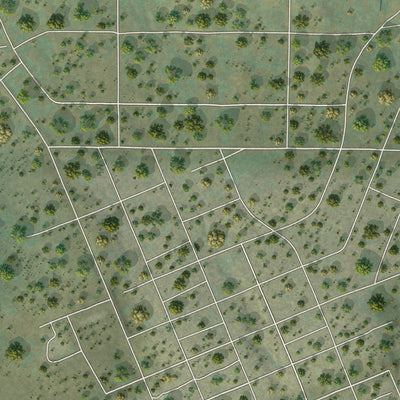 Close-up of the map of Delleker, California print showing street and building detail