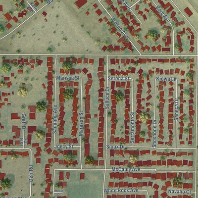 Close-up of the map of Denair, California print showing street and building detail
