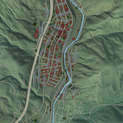 Close-up of the map of Dunsmuir, California print showing street and building detail