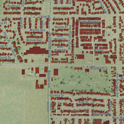Second close-up of the map of Exeter, California print showing more streets and buildings