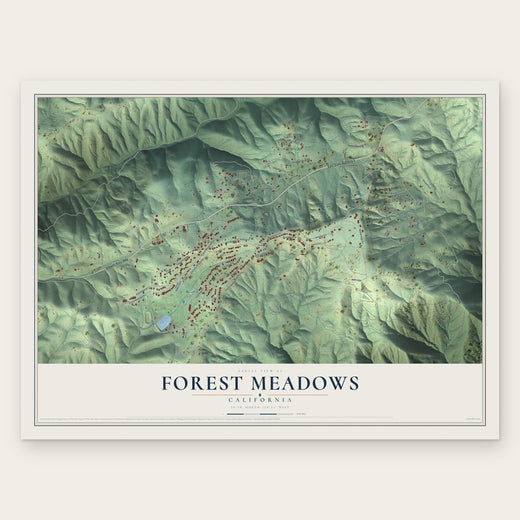 Forest Meadows, California map print, the full design