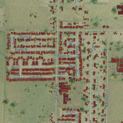 Second close-up of the map of Franklin, California print showing more streets and buildings