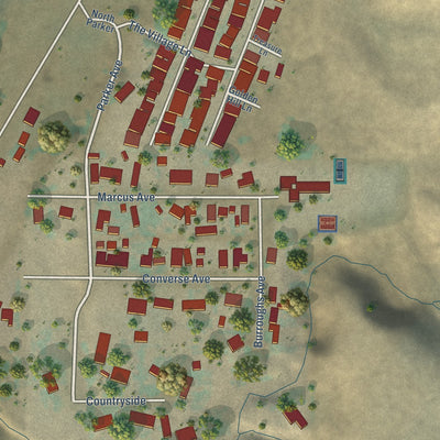 Close-up of the map of Friant, California print showing street and building detail