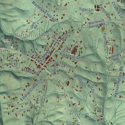 Close-up of the map of Georgetown, California print showing street and building detail