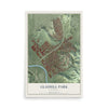 Map of Glassell Park, California, 12 x 18 inch unframed archival matte print
