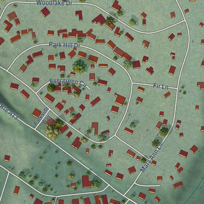 Close-up of the map of Hamilton Branch, California print showing street and building detail
