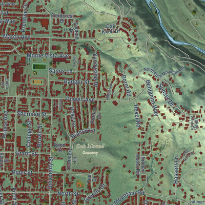 Close-up of the map of Healdsburg, California print showing street and building detail