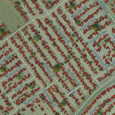 Close-up of the map of Home Gardens, California print showing street and building detail