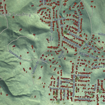 Close-up of the map of Humboldt Hill, California print showing street and building detail