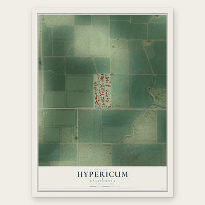 Hypericum, California map print, the full design