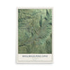 Map of Idyllwild-Pine Cove, California, 12 x 18 inch unframed archival matte print