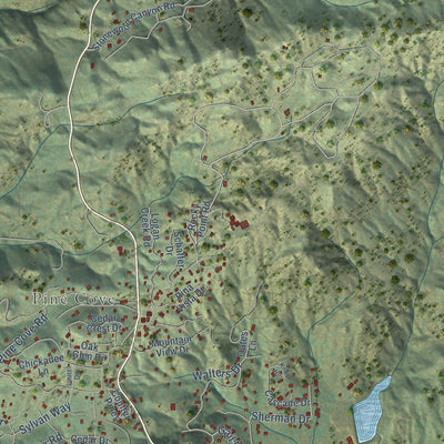 Second close-up of the map of Idyllwild-Pine Cove, California print showing more streets and buildings