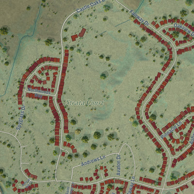 Second close-up of the map of Ione, California print showing more streets and buildings