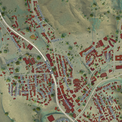 Close-up of the map of Jackson, California print showing street and building detail