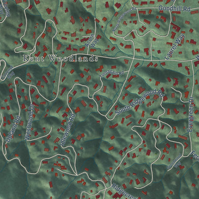 Second close-up of the map of Kentfield, California print showing more streets and buildings
