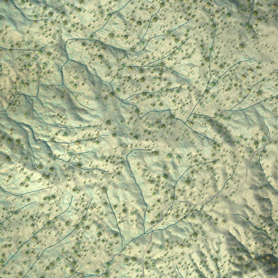 Close-up of the map of Knowles, California print showing street and building detail
