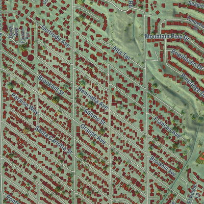 Close-up of the map of La Crescenta-Montrose, California print showing street and building detail