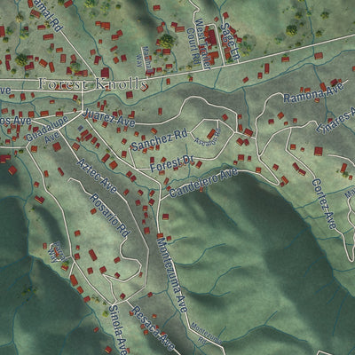 Close-up of the map of Lagunitas-Forest Knolls, California print showing street and building detail