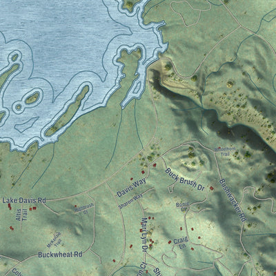 Close-up of the map of Lake Davis, California print showing street and building detail