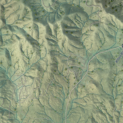Second close-up of the map of Lakeland Village, California print showing more streets and buildings