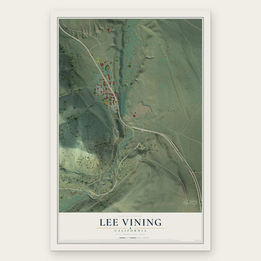 Lee Vining, California map print, the full design