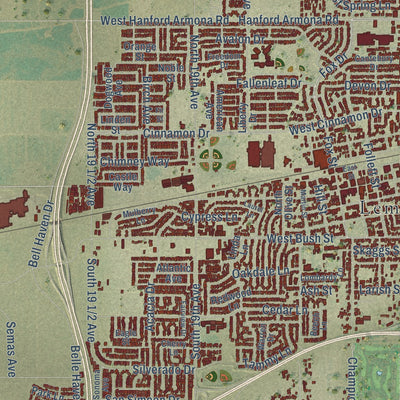 Close-up of the map of Lemoore, California print showing street and building detail