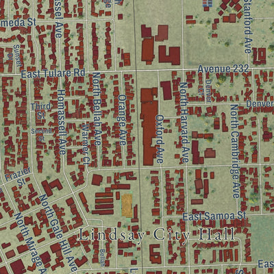Close-up of the map of Lindsay, California print showing street and building detail