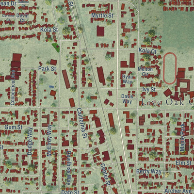 Close-up of the map of Live Oak, Sutter County, California print showing street and building detail