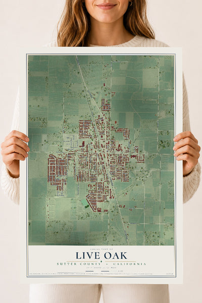Map of Live Oak, Sutter County, California, 18 x 24 inch unframed archival matte print