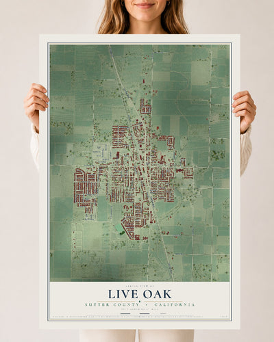 Map of Live Oak, Sutter County, California, 24 x 36 inch unframed archival matte print
