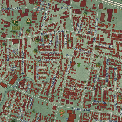 Close-up of the map of Live Oak, Santa Cruz County, California print showing street and building detail