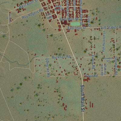 Close-up of the map of Lone Pine, California print showing street and building detail