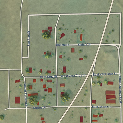 Close-up of the map of Macdoel, California print showing street and building detail
