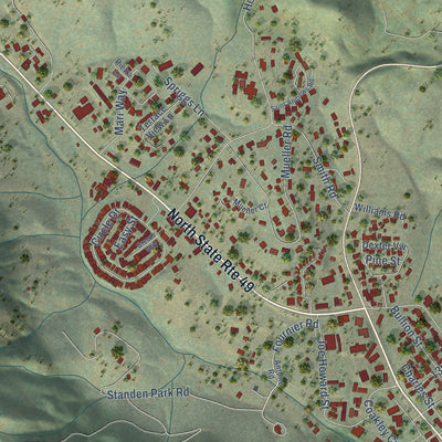 Close-up of the map of Mariposa, California print showing street and building detail