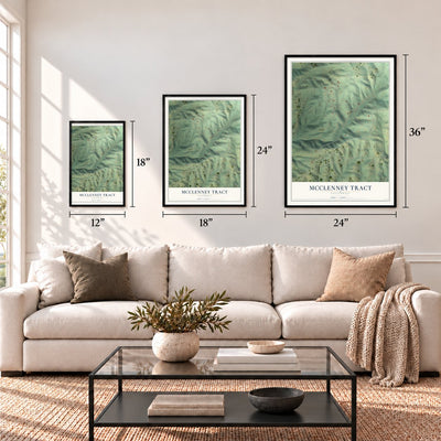 McClenney Tract, California map in 12 x 18, 18 x 24 and 24 x 36 inch sizes above a sofa