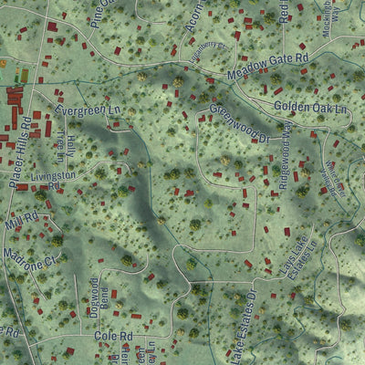 Close-up of the map of Meadow Vista, California print showing street and building detail