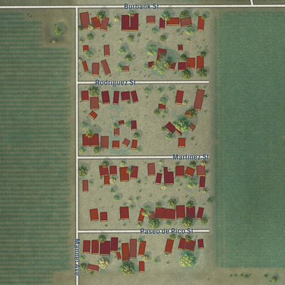 Close-up of the map of Mexican Colony, California print showing street and building detail