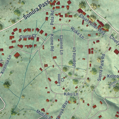 Close-up of the map of Mi-Wuk Village, California print showing street and building detail