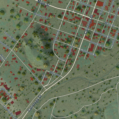 Close-up of the map of Middletown, California print showing street and building detail