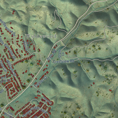 Close-up of the map of Murphys, California print showing street and building detail