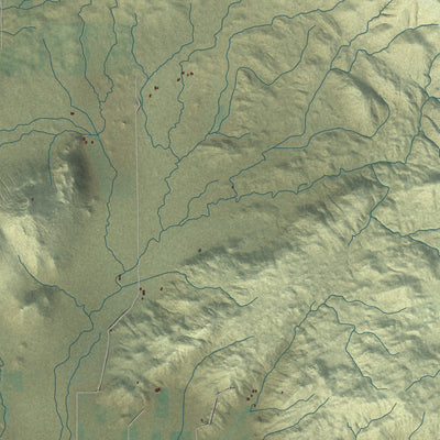 Close-up of the map of Navelencia, California print showing street and building detail
