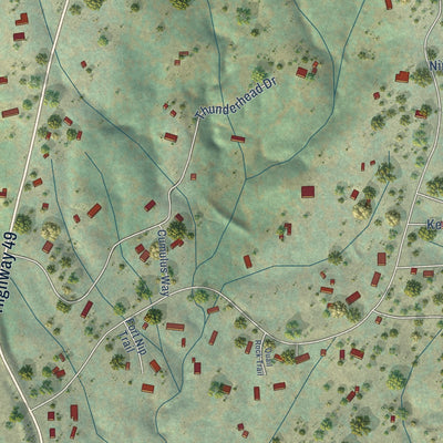 Close-up of the map of Nipinnawasee, California print showing street and building detail
