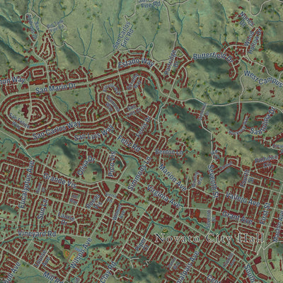 Close-up of the map of Novato, California print showing street and building detail