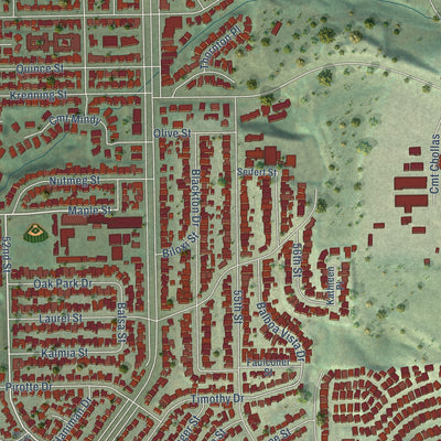 Close-up of the map of Oak Park, San Diego, California print showing street and building detail