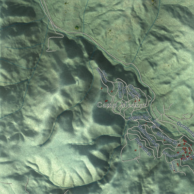 Close-up of the map of Occidental, California print showing street and building detail