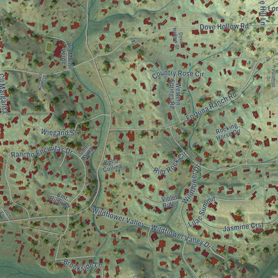 Close-up of the map of Olivenhain, California print showing street and building detail