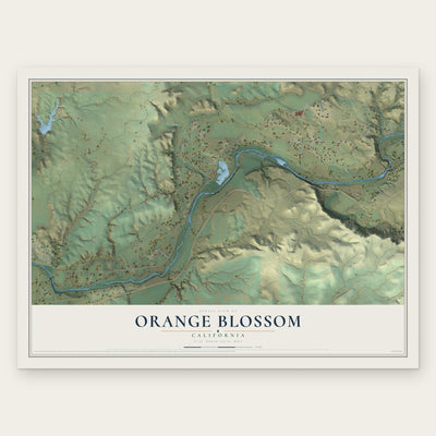 Orange Blossom, California map print, the full design