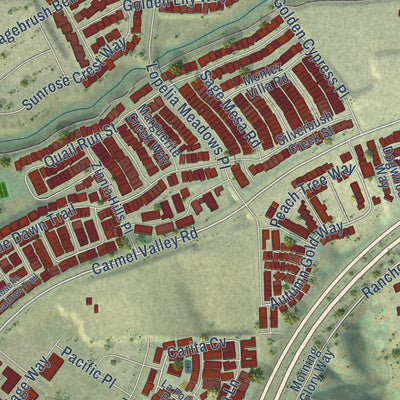 Close-up of the map of Pacific Highlands Ranch, California print showing street and building detail